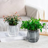 Self Watering Flower Pot Fish Tank Transparent Plastic Plant Pots Mini Self Watering Planter Pot Vase For Home Decoration