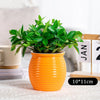 Self Watering Flower Pot Fish Tank Transparent Plastic Plant Pots Mini Self Watering Planter Pot Vase For Home Decoration